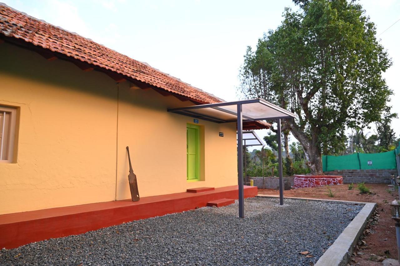 Vigo Homes