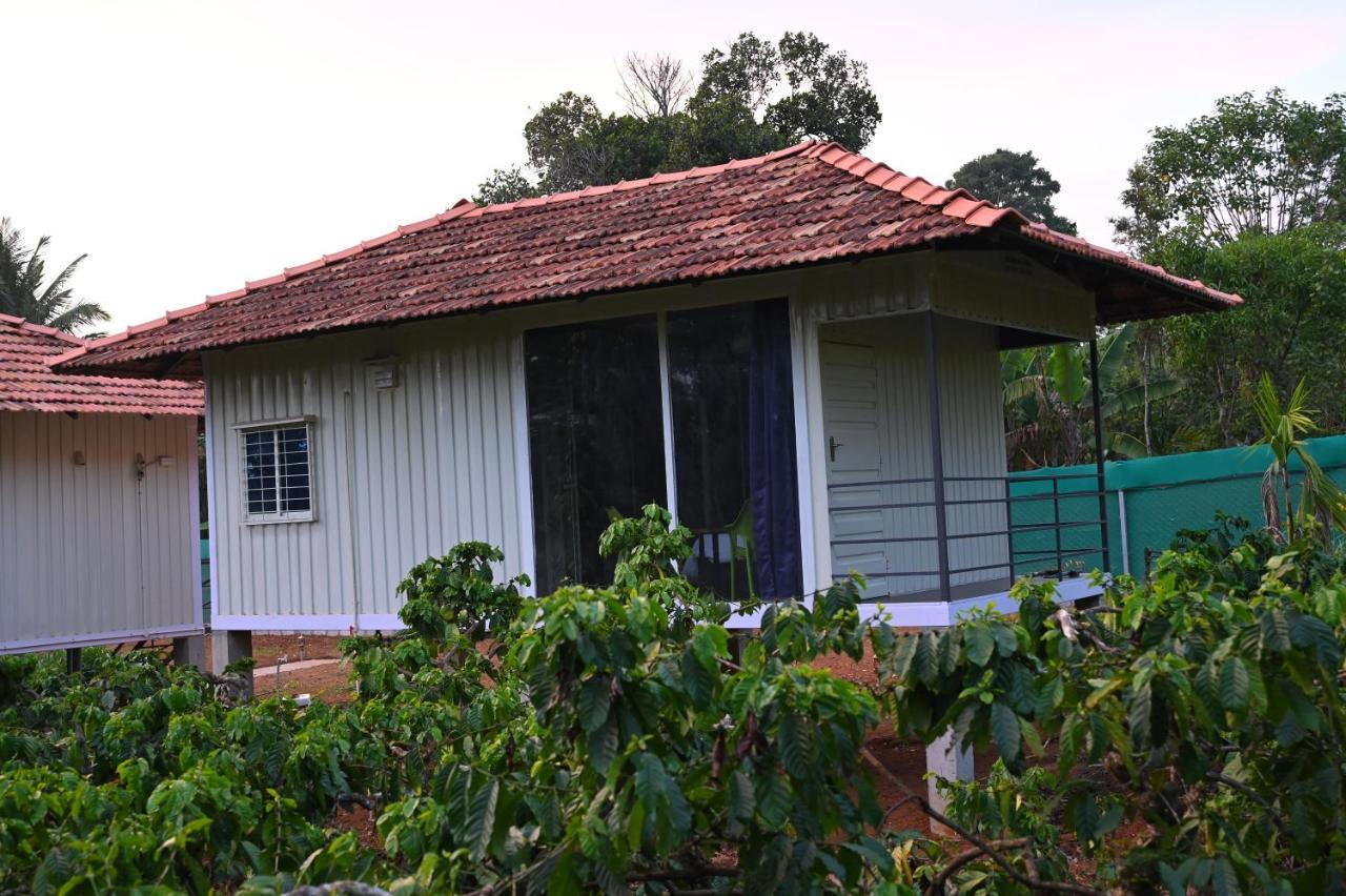 Vigo Homes Homestay