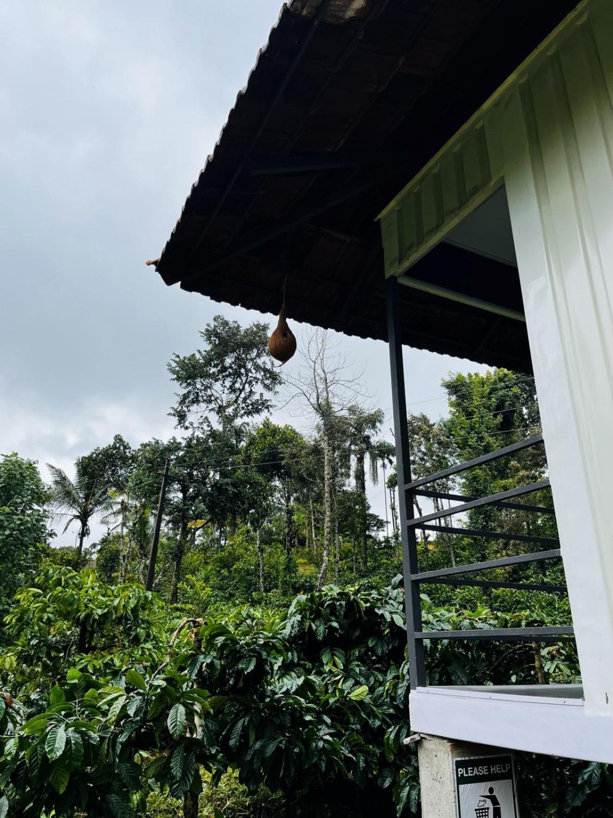 Homestay Vigo Homes *