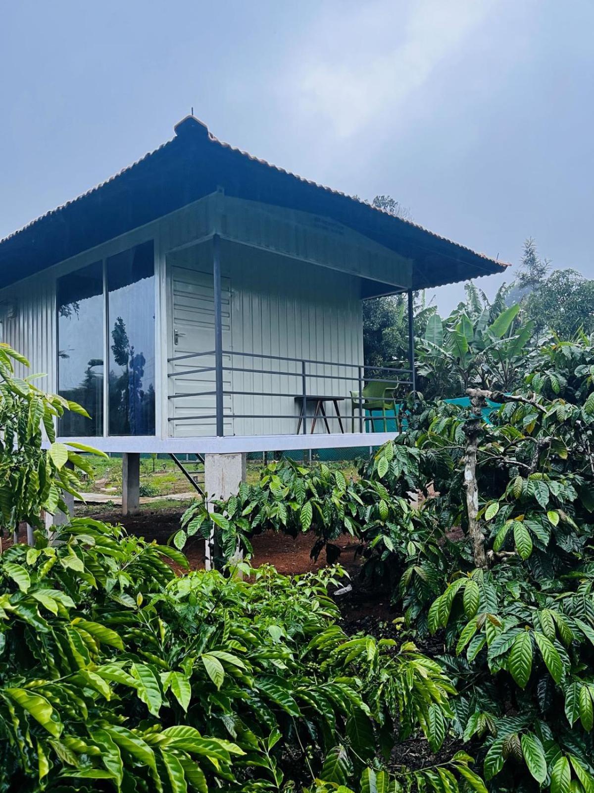 Homestay Vigo Homes