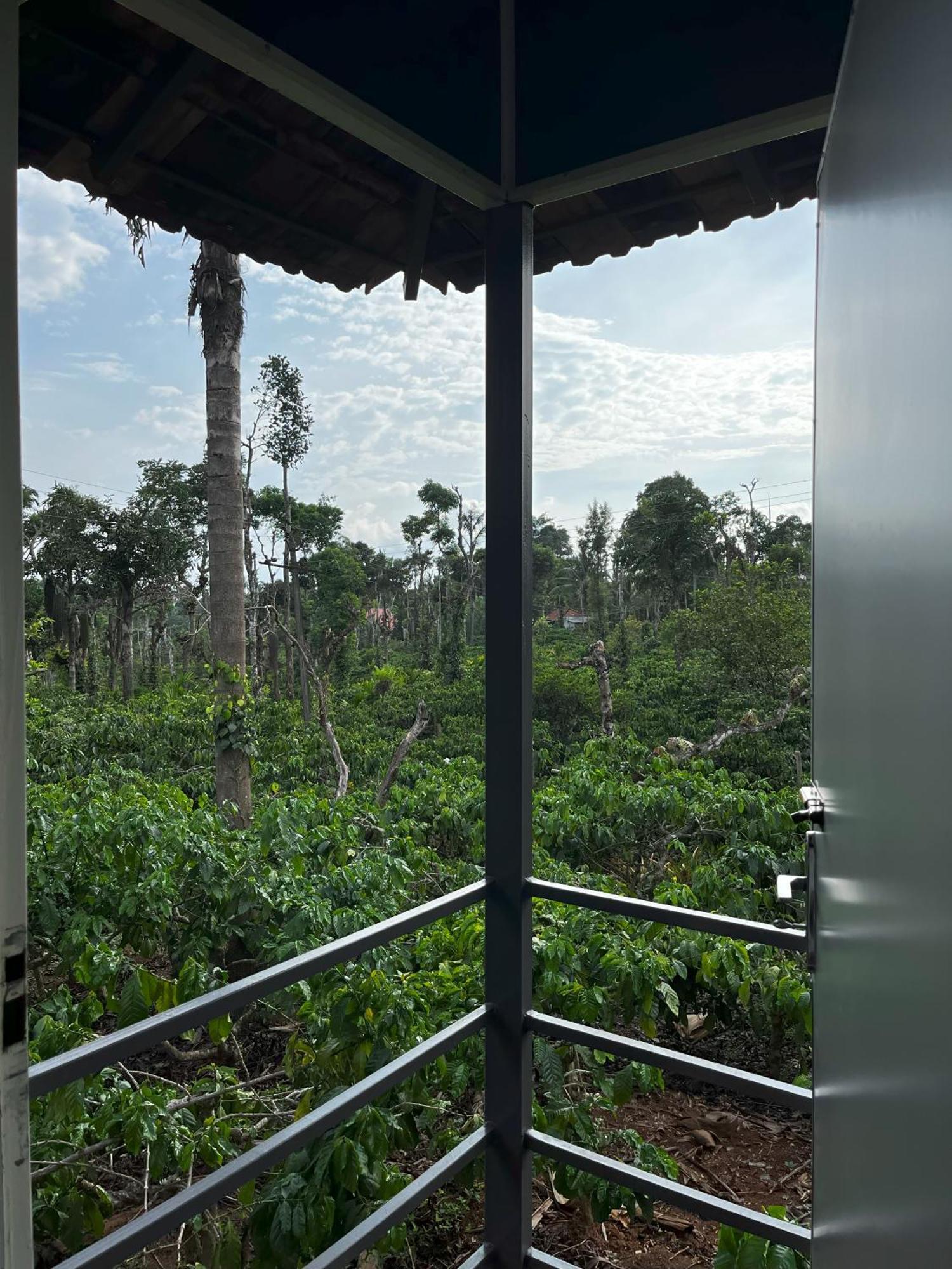 Vigo Homes Sakleshpur