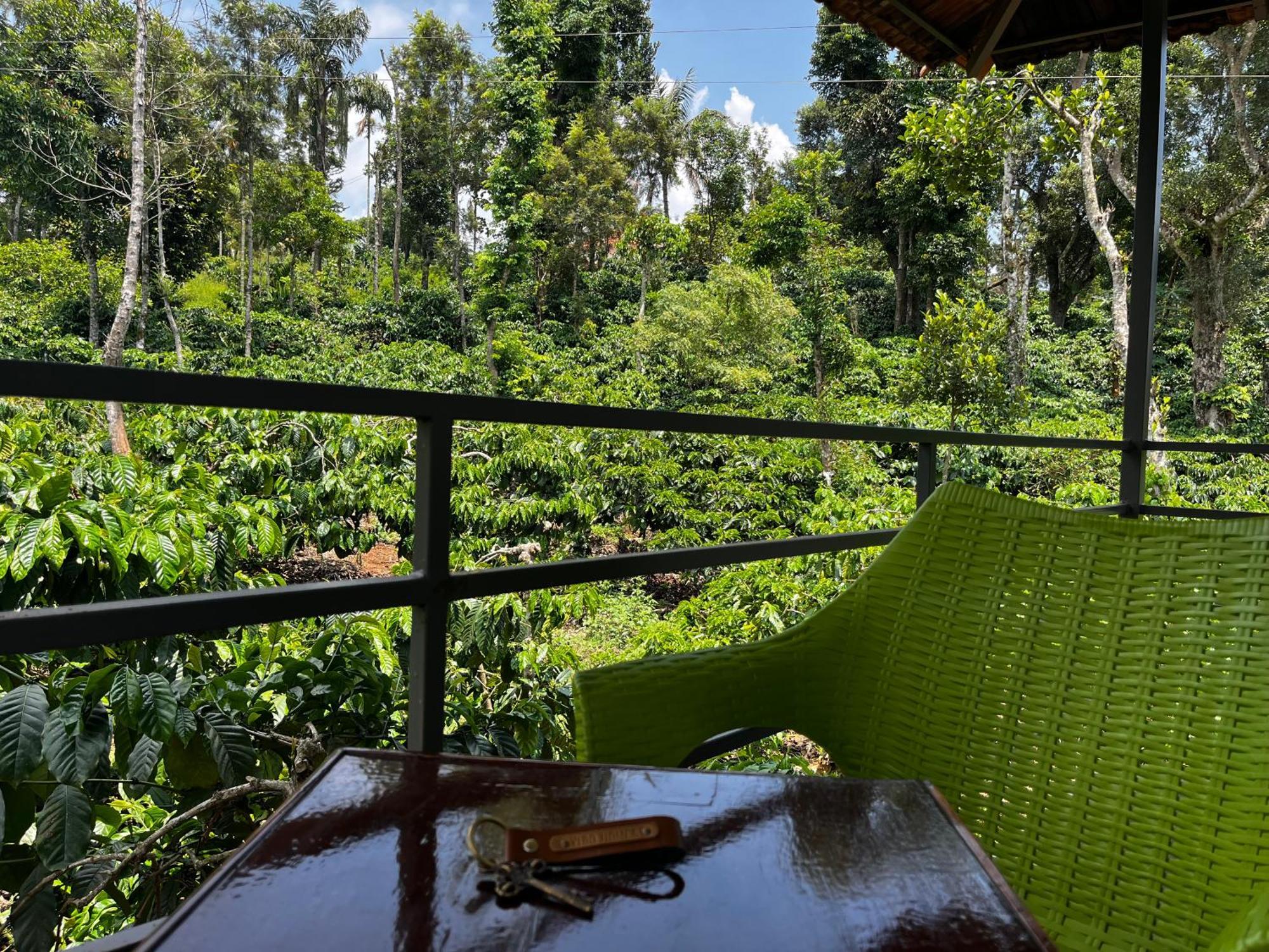 Homestay Vigo Homes
