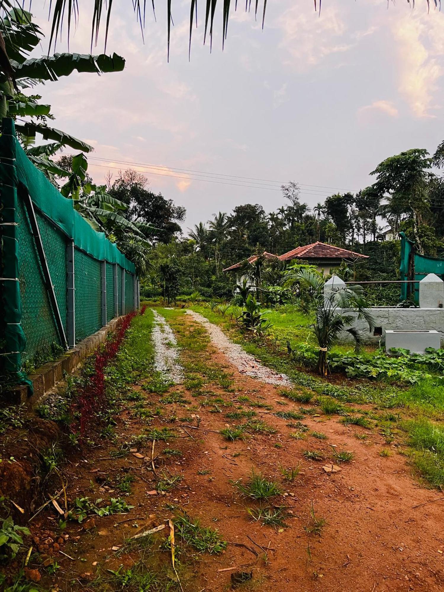 Homestay Vigo Homes