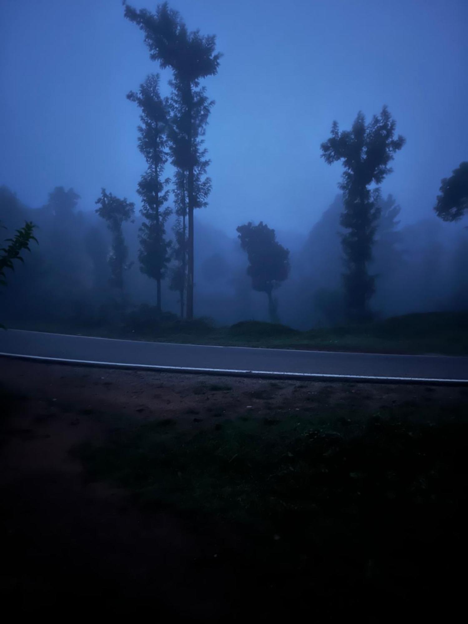 Vigo Homes Homestay Sakleshpur